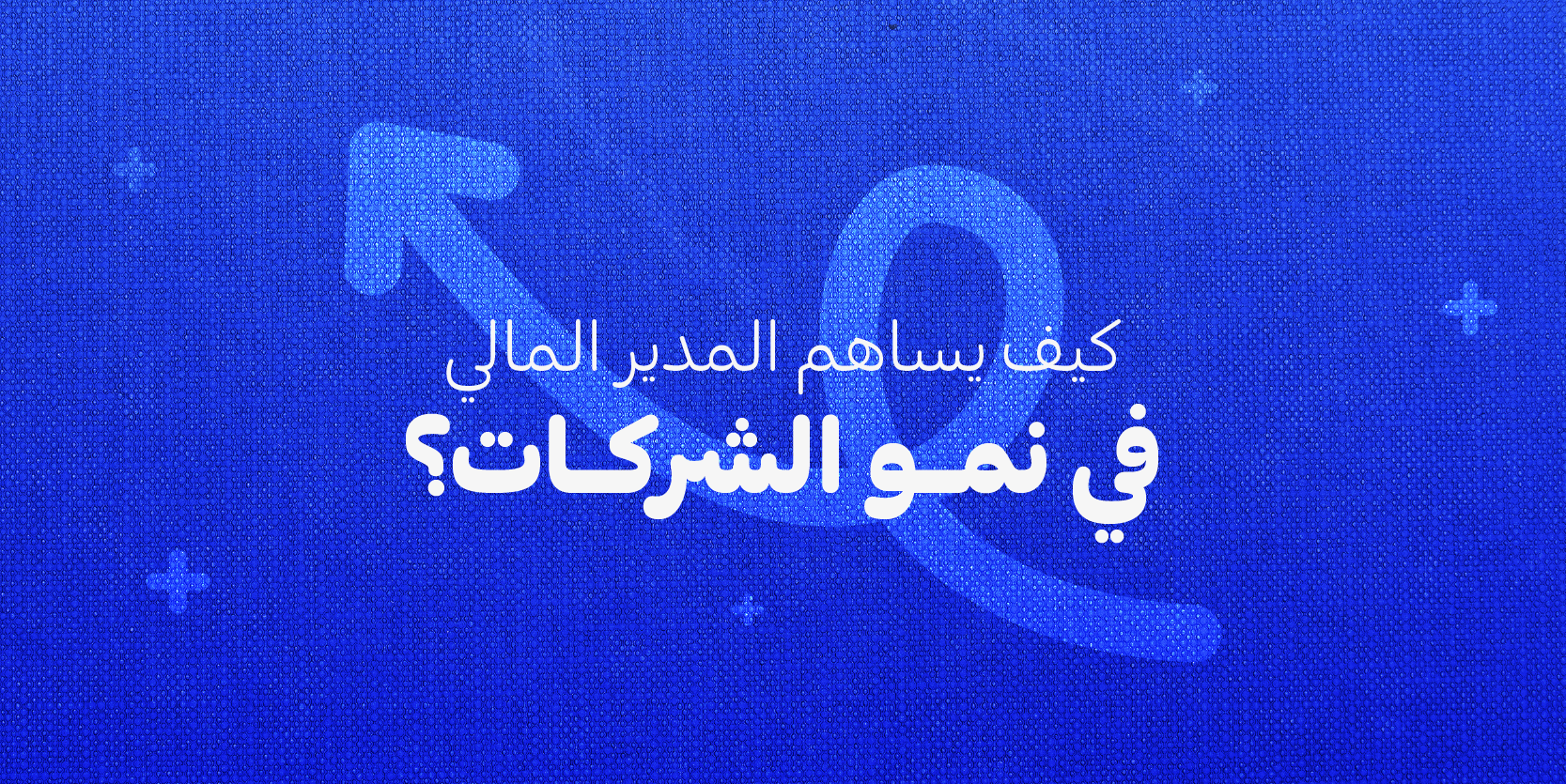 كيف يحقق المدير المالي نمو للشركات